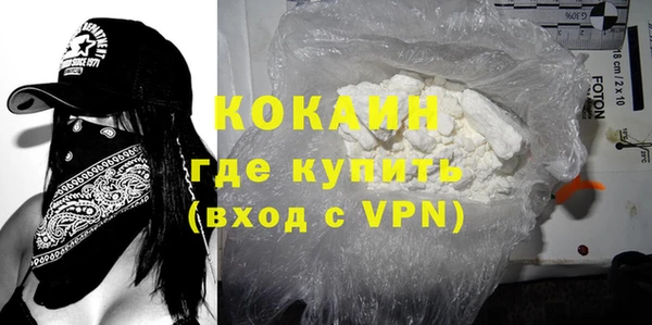 шишки Богданович